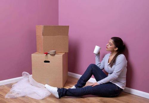 �ζ�����